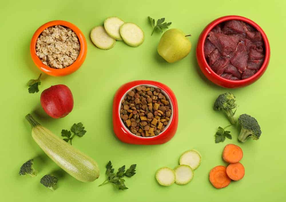 2022 Best Dog Food for Kidney Disease: How Diets Can Help