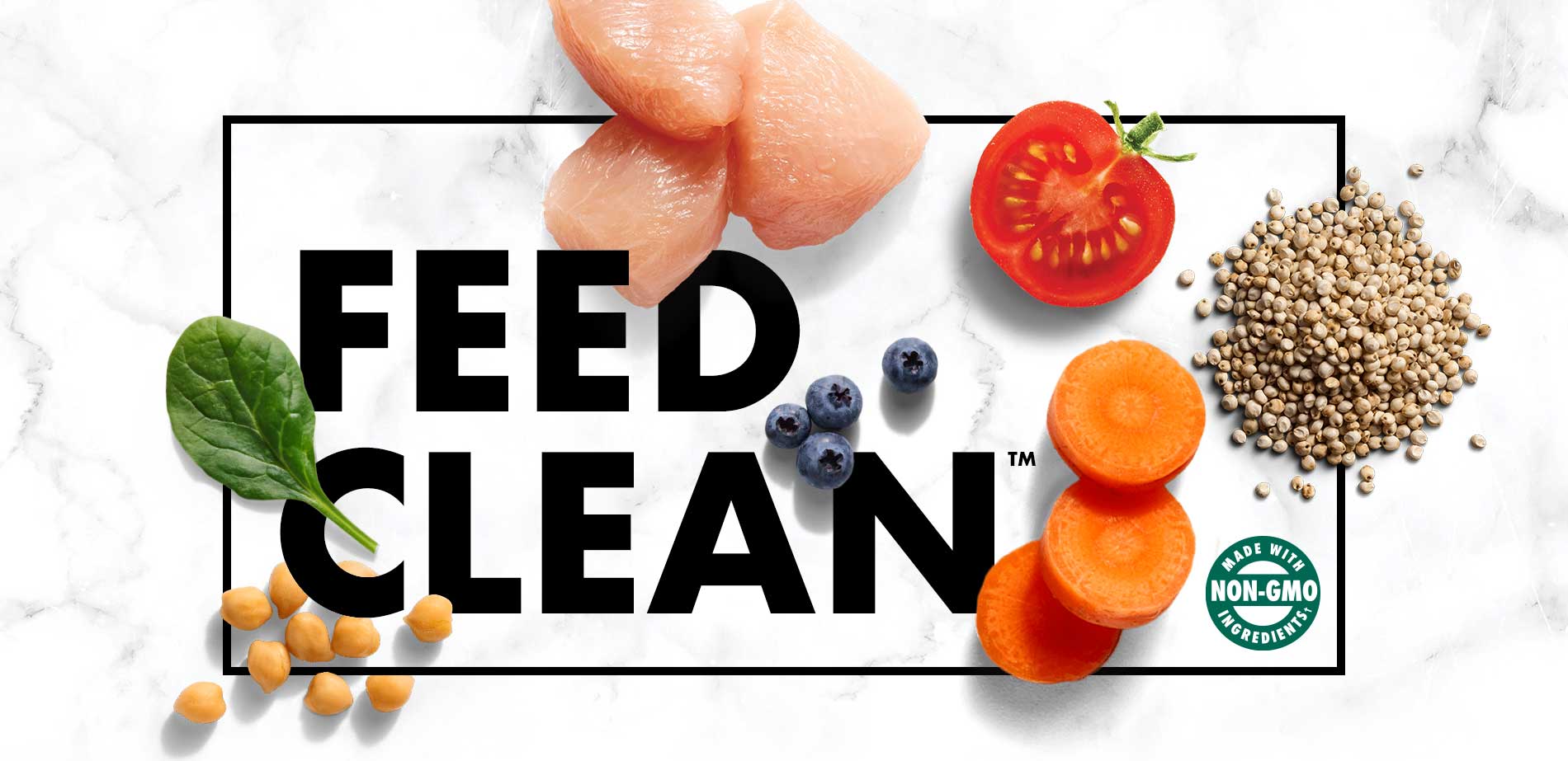 Nutro Dog Food Review 2022 The Cleanest Natural Choice?