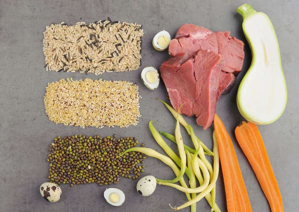 2022 Best Dog Food with Grain Healthy Meals With Ancient Grains