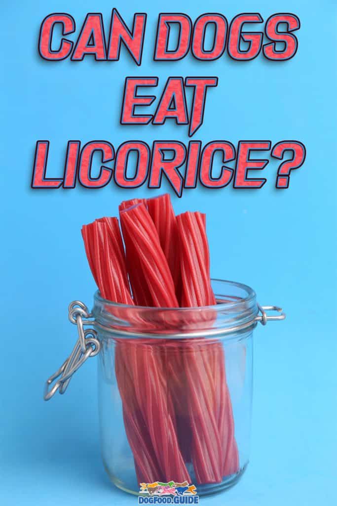 Can Dogs Eat Licorice