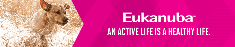 Eukanuba Dog Food Reviews 2022: Healthy, Affordable Choice?