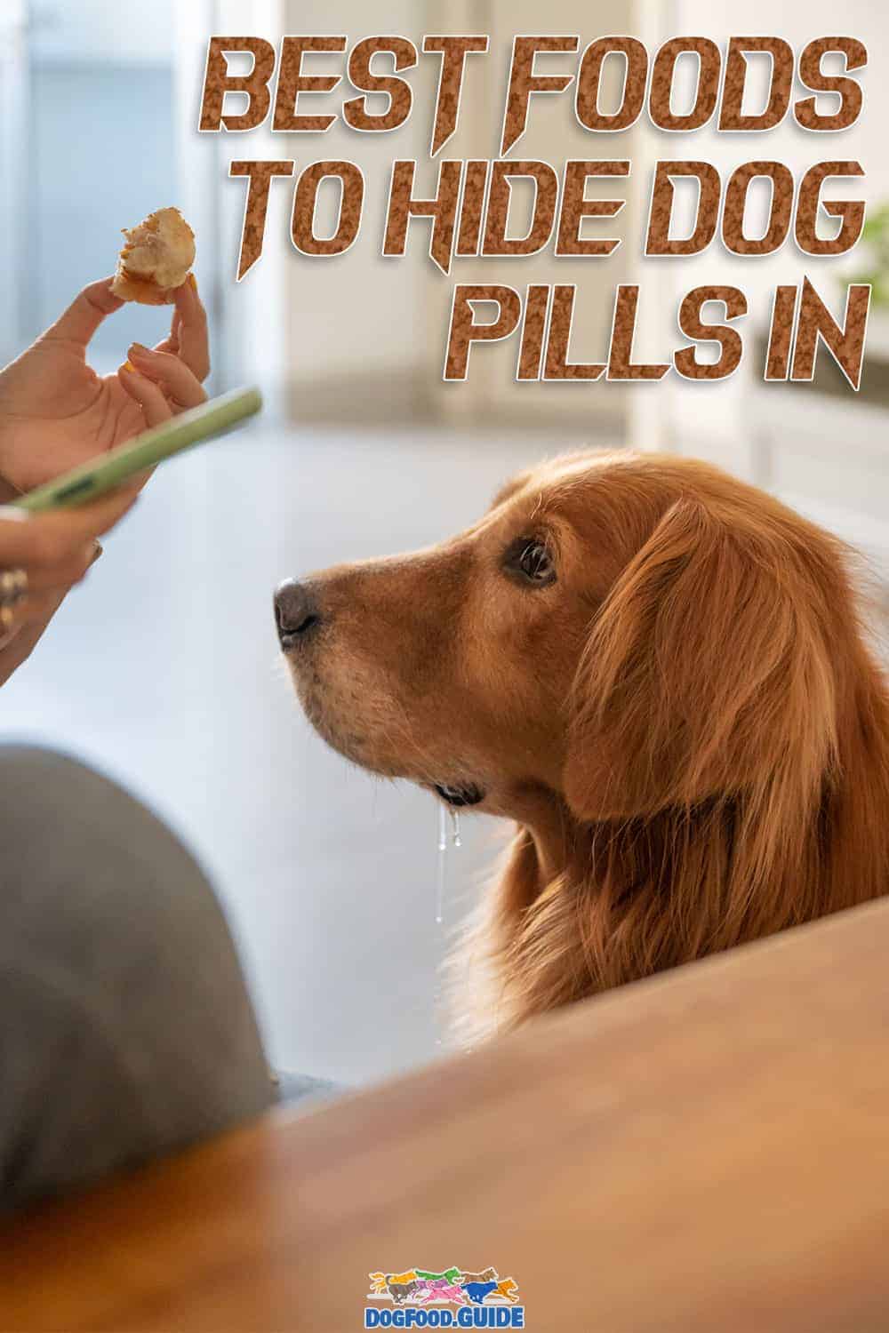 2022 Best Foods to Hide Dog Pills In Turn Meds Into Tasty Treats
