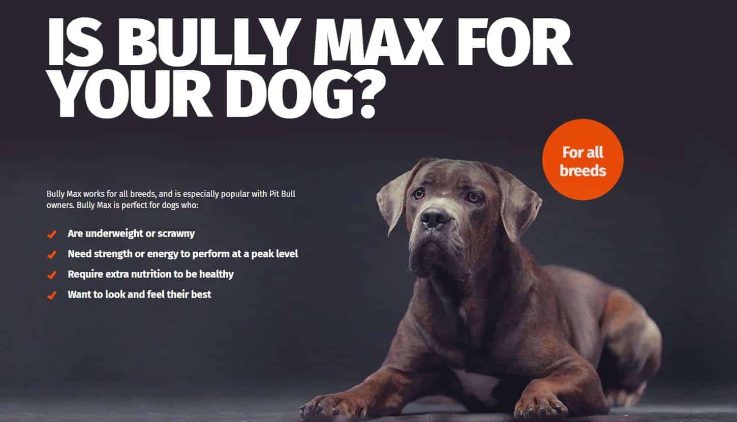 Bully Max Dog Food Review 2022 Best High Performance Dog Food?