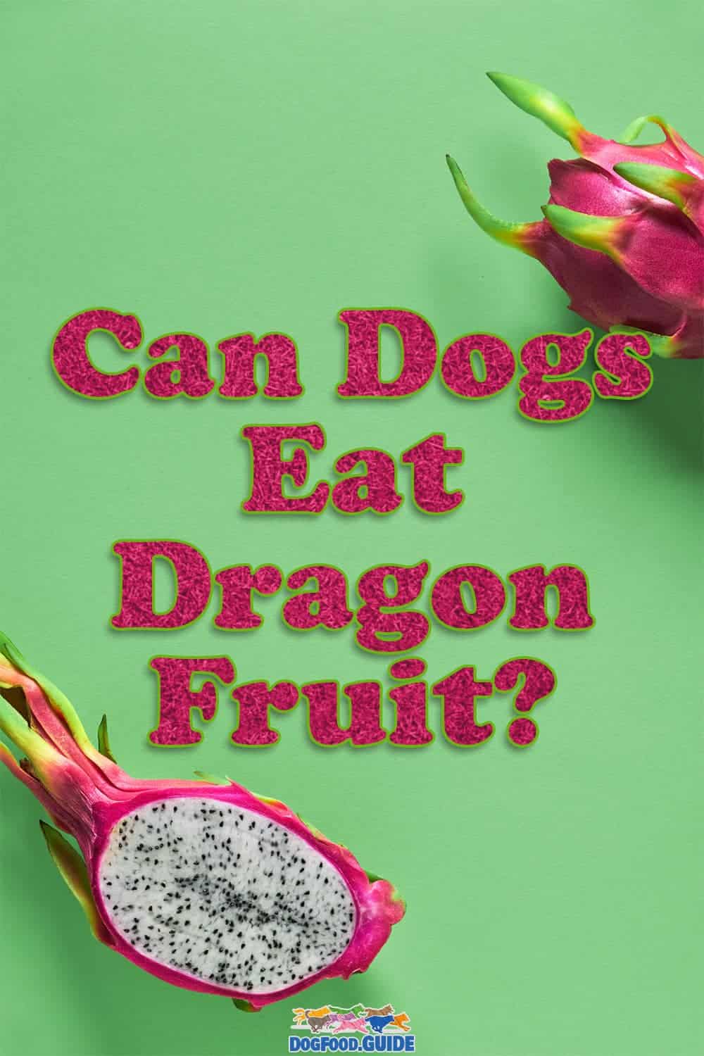 Can Dogs Eat Dragon Fruit? Know The 6 Amazing Health Benefits