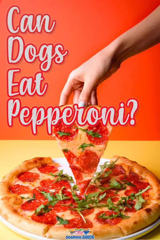 Can Dogs Eat Pepperoni