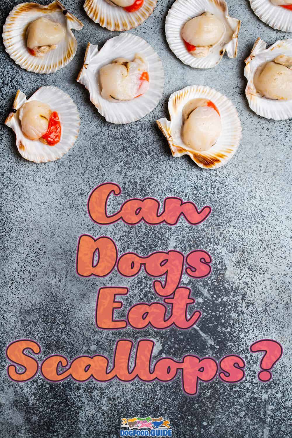 Can Dogs Eat Scallops? 3 Best Benefits & 4 Possible Hazards Explained