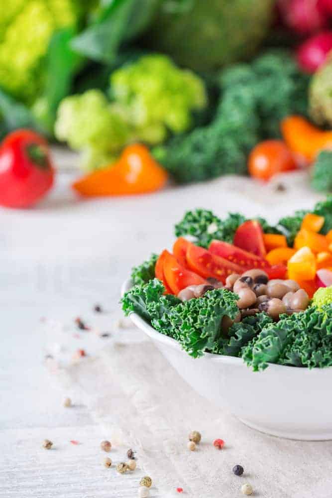 vegan dog food