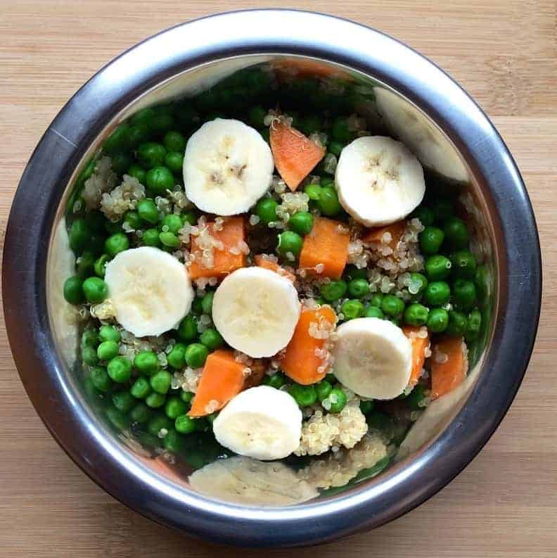 Vegan dog food