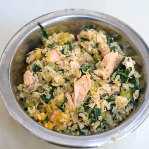 salmon dog food