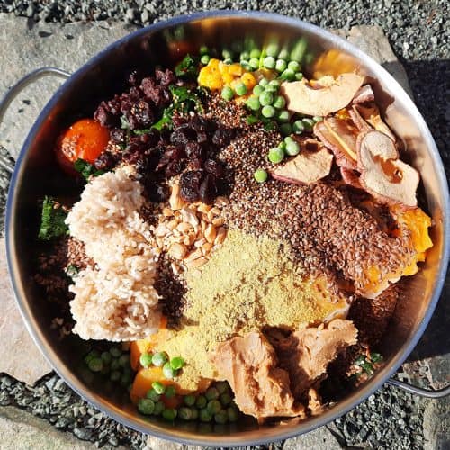 vegan food for dogs