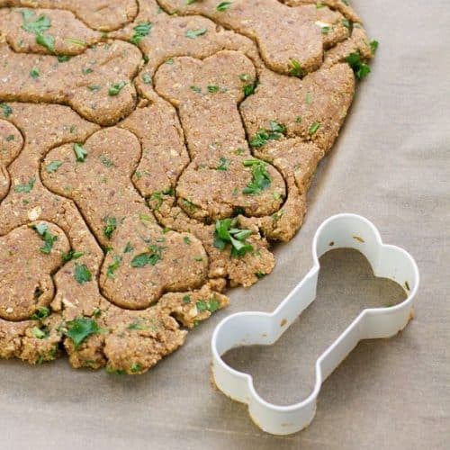 vegan dog treats