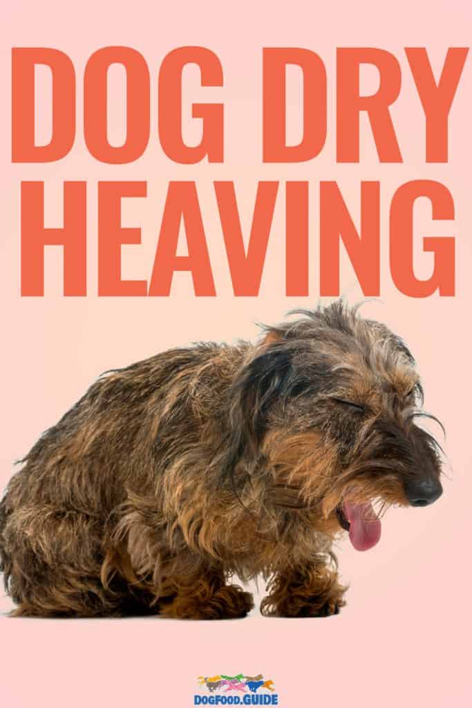 Understanding Dog Dry Heaving: Causes, Treatment, and Prevention 2