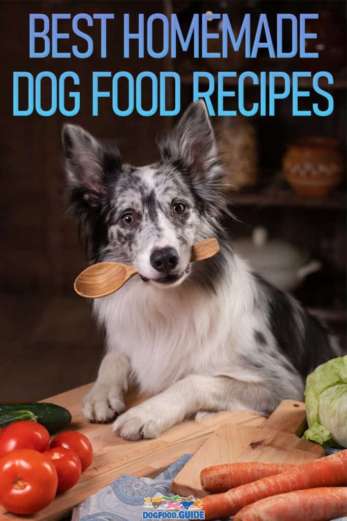 Best Homemade Dog Food Recipes