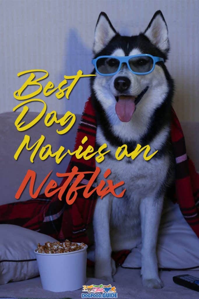 Best Dog Movies on Netflix