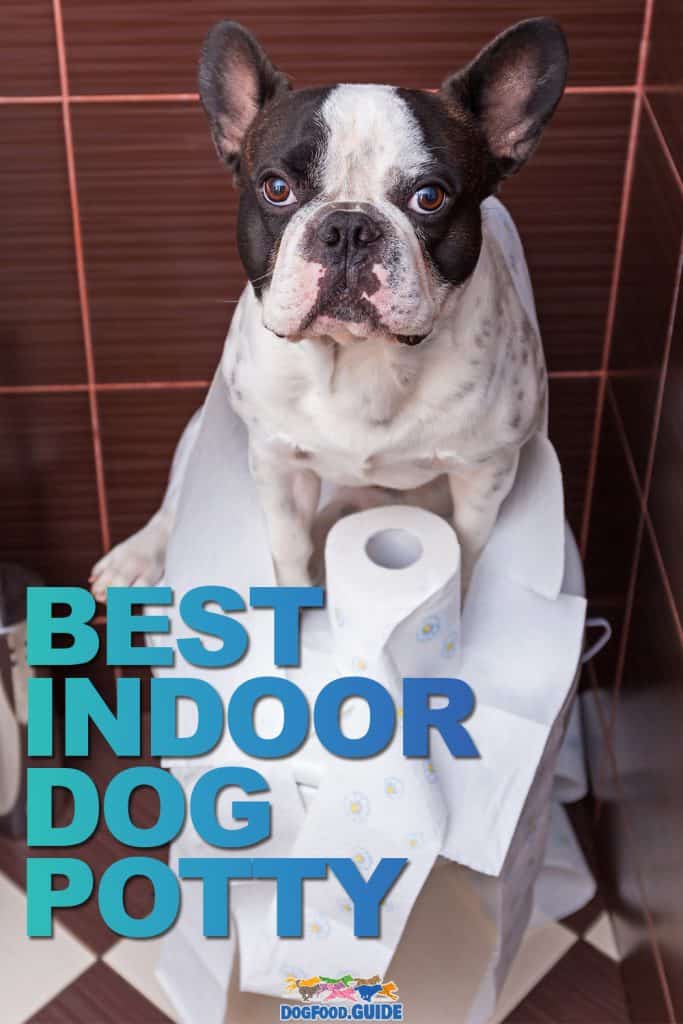 Best Indoor Dog Potty
