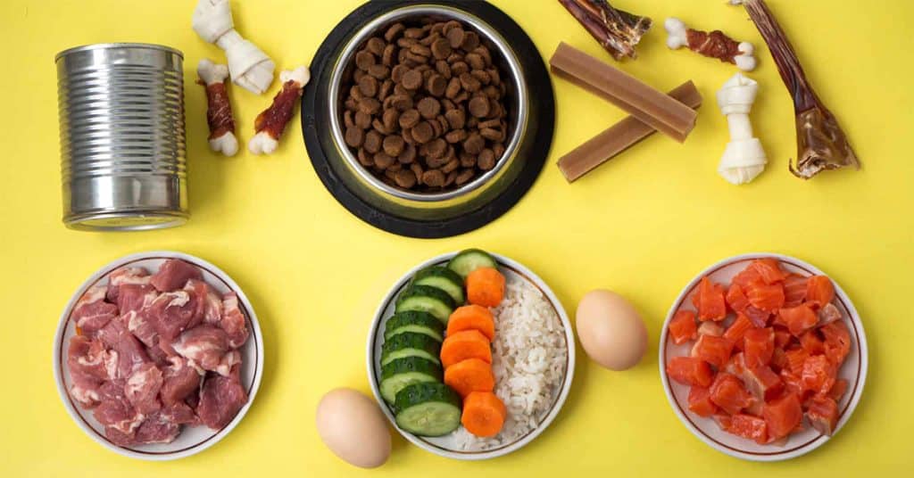 Best and Worst Dog Foods