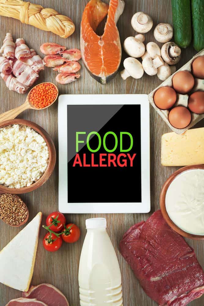 Food Allergies in Dogs