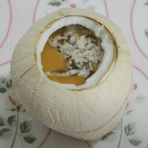 Coconut soup for dogs