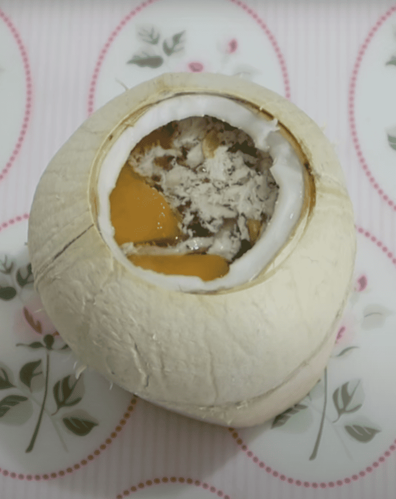 Coconut soup for dogs