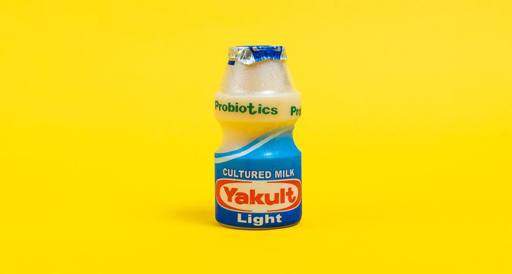 Yakult for Dogs
