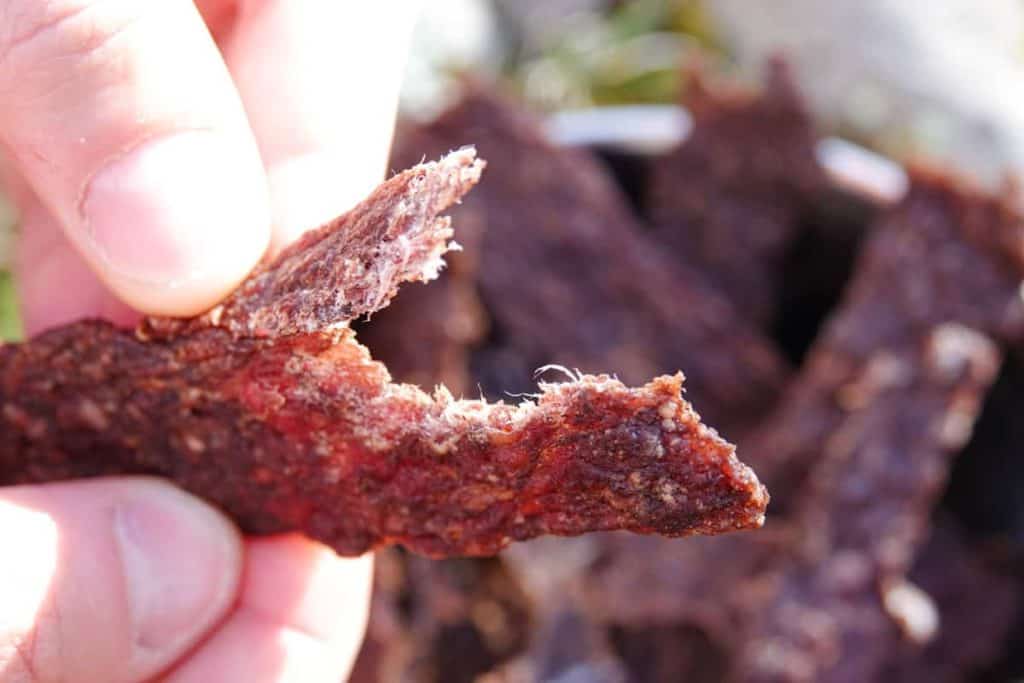 DIY Jerky Dog Treats