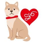 Effective Natural Ways to Treat and Prevent Worms in Dogs: Your Holistic Guide Natural Ways to Treat and Prevent Worms in Dogs