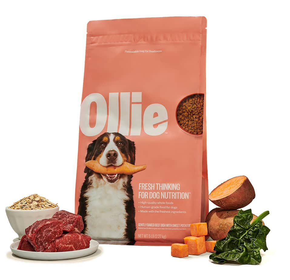 Crisp & Nutritious: Best Baked Dog Food Brands 10 Crisp & Nutritious: Best Baked Dog Food Brands 6