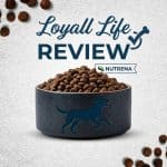 Loyall Life Dog Food Review: Is Nutrena’s Premium Kibble Worth It? loyall life dog food review